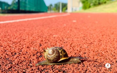 Reaching Goals: Is Your Pace Too Fast or Too Slow?